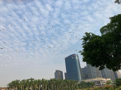-顺峰山公园