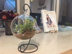 -谜秀韩式半永久纹眉纹绣洗眉