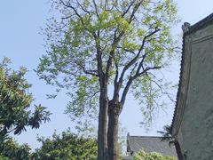 -洛阳周公庙博物馆