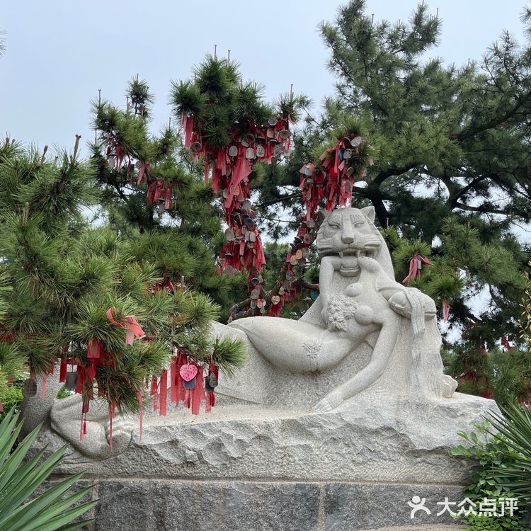 这个夏天这样玩｜大连老虎滩海洋公园攻略
