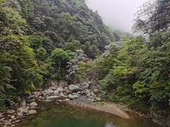 -炎陵县神农谷国家森林公园