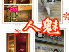 -白兔子密室(长寿路店)