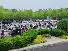 -秦皇岛野生动物园