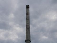 -柴犬高等学院·狗咖·柴犬售卖·宠物训练