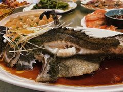 清蒸石斑鱼-阿龙海鲜农家乐·三亚老字号(海棠湾店)