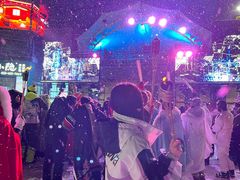 -采薇庄园四季滑雪场