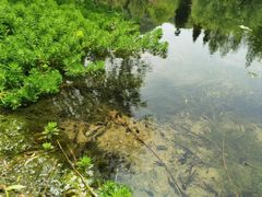 -贵阳市花溪国家城市湿地公园