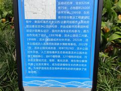 -成都市活水公园