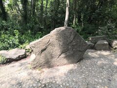 -上海佘山国家森林公园天马山园