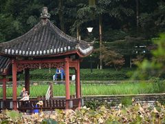 -龙头寺公园