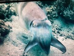 -同济大学四平路校区深海探索馆