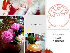 Mikaku-MIKAKU(万达广场上海宝山店)