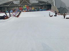 -沈阳奥体冰雪嘉年华