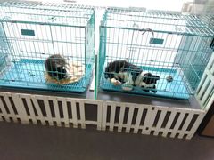 -佳百利宠物(荣乐中路115弄小区店)