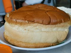 -大树下海鲜饭店