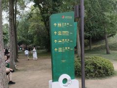 -三星堆博物馆