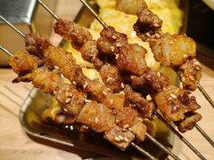 -邢氏老太太烤串(北兴街店)