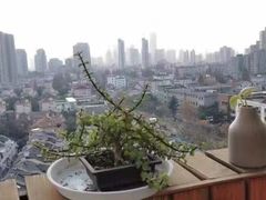 -语朵教育·日韩德法留学(曹杨校区)