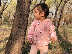 -碓臼峪自然风景区