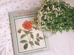 -笑来喜馄饨小笼工坊店(湖滨街店)