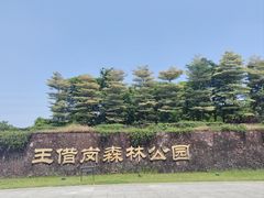 -王借岗森林公园