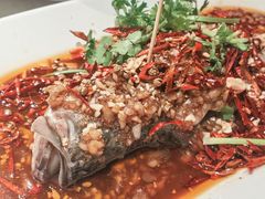 -杨氏青龙虾·羊蝎子(金盛路总店)