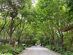 -上海吴淞炮台湾国家湿地公园