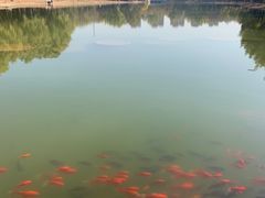 -森林公园(尖草坪区)