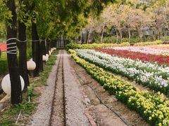 -广东花都香草世界旅游度假区