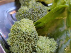 -金鼎雪山牦牛杂火锅(理县总店)