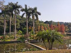 -云溪植物园