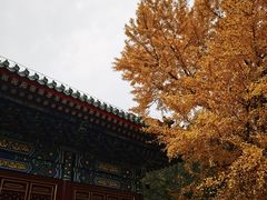 -香山公园