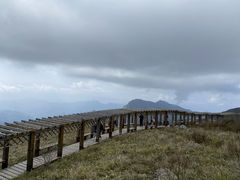 -白草畔自然风景区
