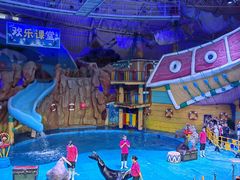 -烟台海昌鲸鲨海洋公园