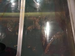 -鸿运兔·手撕烤兔(天府广场店)