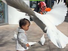 -中粮·祥云小镇
