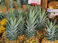 -港华水果街(港华广场店)