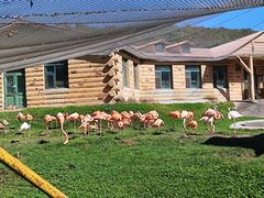 -哈尔滨北方森林动物园