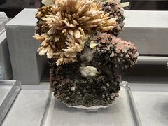 -湖南省地质博物馆