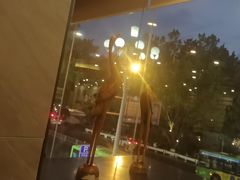 -豪客来牛排(西昌大巷口月城广场店)