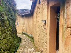 -杨家堂村
