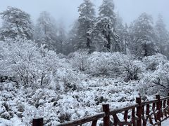 -瓦屋山景区