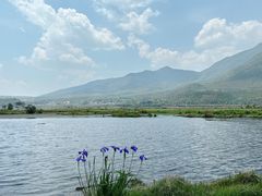 -腾冲北海湿地
