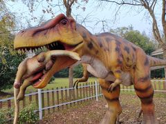 -上海海湾国家森林公园