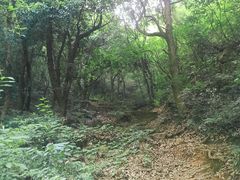 -杭州半山国家森林公园