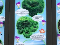 -海口火山口国家地质公园