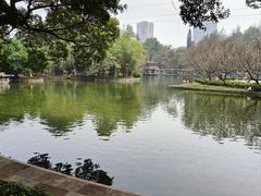 -晓港公园