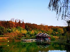-宜兴龙背山森林公园