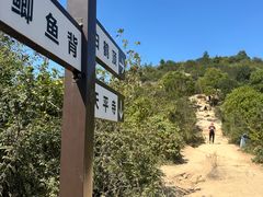 -灵岩山风景区
