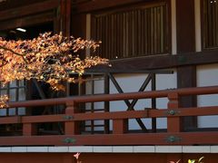 -醍醐寺